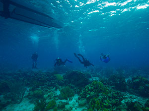 Diving